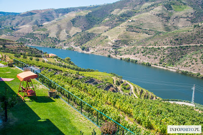 Dolina rzeki Douro w Portugalii i 5 powodów dlaczego warto ją odwiedzić fotografie krzysztof gierak zdjęcia opis przewodnik poradnik zwiedzania 