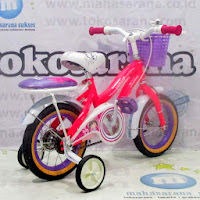 12 wimcycle light ctb sepeda anak