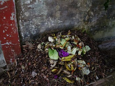 Compostagem é geração de renda e menos lixo nos aterros