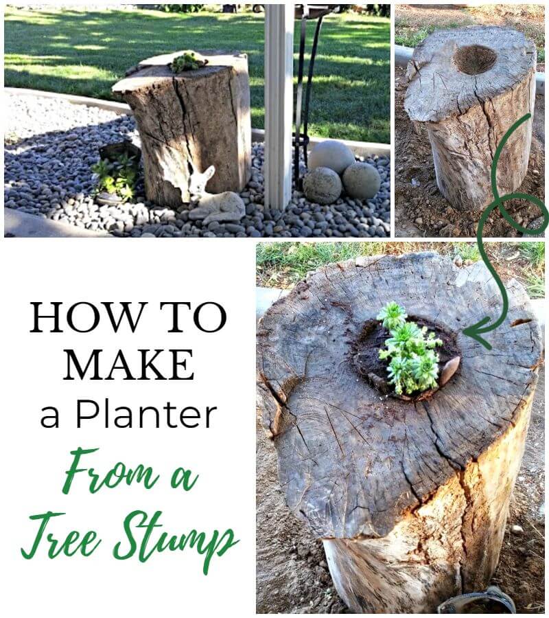 How to Make a Planter Out Of a Tree Stump