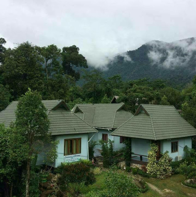 Nature surrounding homestay