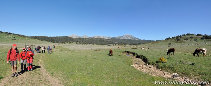 Villaluenga del Rosario - Llanos del Republicano - Torcal de Cancha Bermeja - Cerro Tinajo