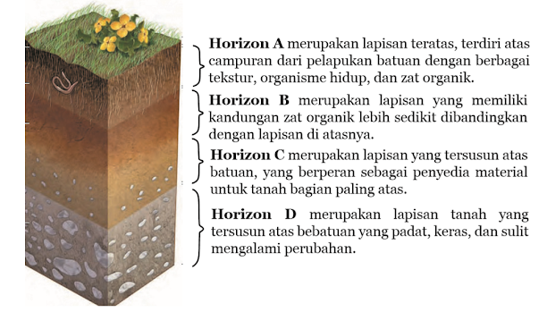 Gambar Lapisan-Lapisan Tanah