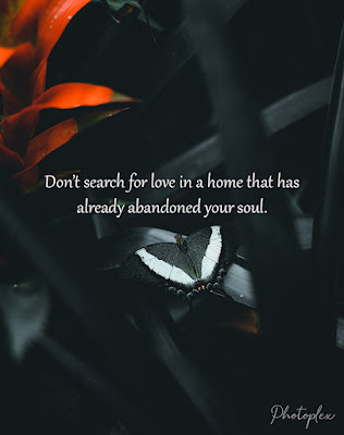 Love Failure Quotes - Don't search for love in a home that has already abandoned your soul.
