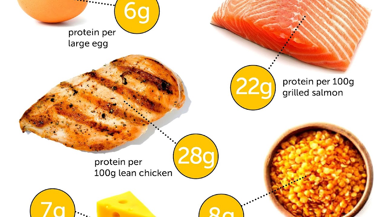 Best Foods To Gain Lean Muscle