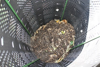 compost-2508