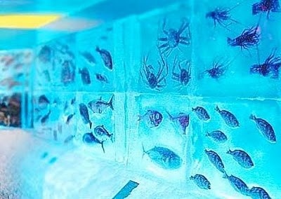 amazing ice aquarium in japan