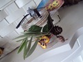 DSC01815