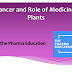 Cancer and Role of Medicinal Plants