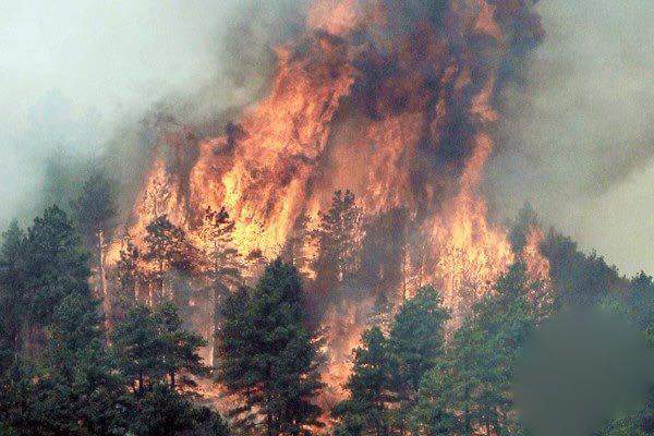 JEREBU TERKINI GUNUNG LOKON TERBAKAR MALAYSIA DAN 