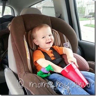 IMG_20121019_113349