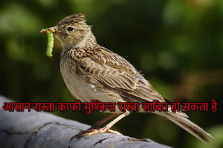motivational story in hindi for success,motivational story in hindi pdf,motivational story in hindi for sales team,inspirational story in hindi language,motivational story in hindi video short motivational stories in hindi with moral,success story in hindi for student,motivational stories in hindi for employees