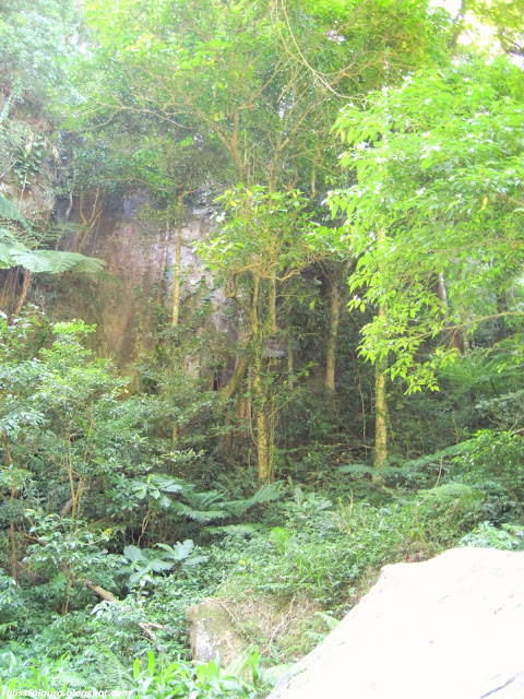 Consocep Falls Tigaon Camarines Sur