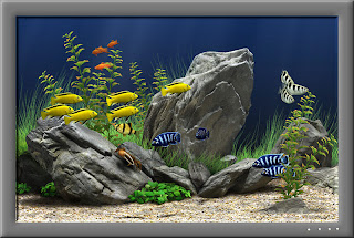 Dream Aquarium 1.2413 Screensaver Completo