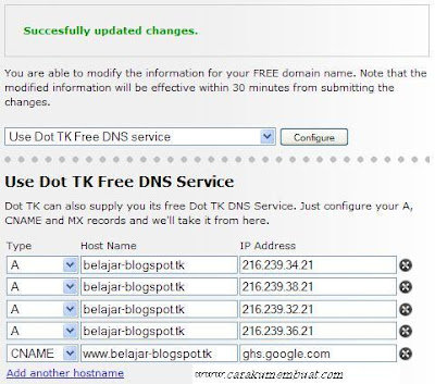 sukses setting DNS dot tk