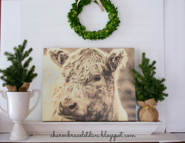 Farmhouse Scottish Highland cow wall art canvas