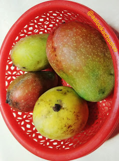 aam image aam pic aam photo mango pic mango image mango photo mango picture aalookachaaloo