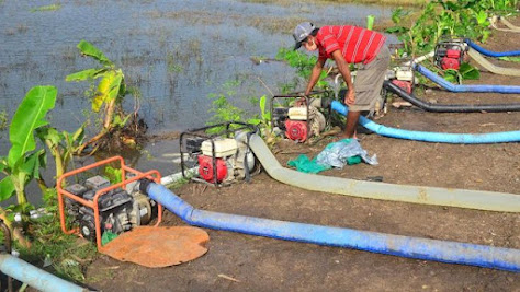Akibat Banjir, Ribuan Hektar Lahan Tanah di Kabupaten Kudus Mengalami Kerugian Yang Hampir Mencapai 15 Juta Per Hektar