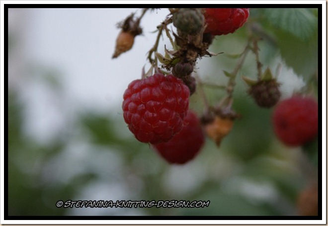 Raspberry