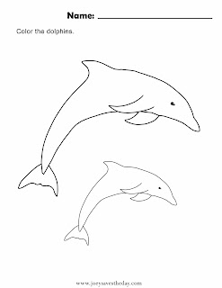 Dolphin coloring worksheet