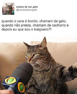 Foto.Na caixa de uma rede social.No canto superior esquerdo a pequena foto de frente do peito para cima do Chico,um gato de pelagem cinza com algumas listras pretas verticais na cabeça e horizontais ao longo do corpo,à direita lê-se: cansei de ser gato; e abaixo: arrobacanseidesergato. Ao centro, um microfone preto com a logomarca do canal de TV em frente e bem próximo à boca de Chico entre os longos bigodes brancos dele. Acima lê-se: Quando o cara é bonito, chamam de gato, quando não presta, chamam de cachorro e depois eu que sou o traiçoeiro?