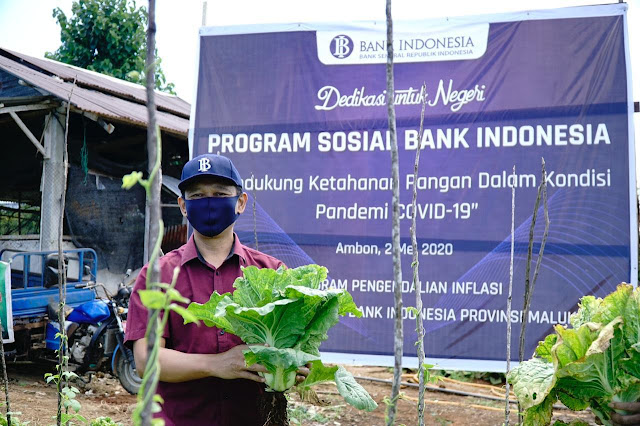 Bank Indonesia dan Dinas Pertanian Provinsi maluku Bentuk Kelompok Tani Binaan di Kota Ambon