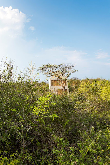 Casa Tiny is a concrete tiny house in Mexico to rent nightly