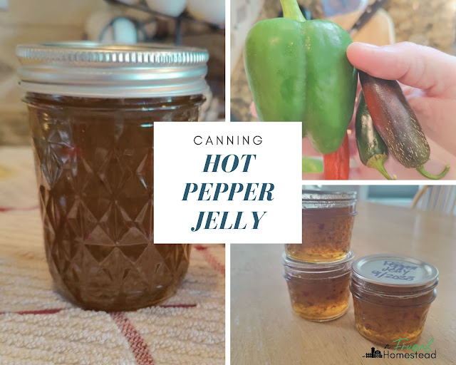 Add this hot pepper jelly canning recipe to your pantry this year.