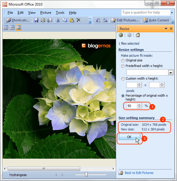 Cara Merubah Ukuran Gambar dengan Office Picture