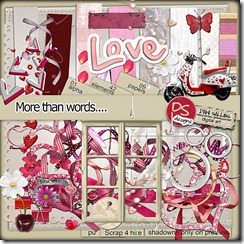 danisallesdesign_more_than_words_preview
