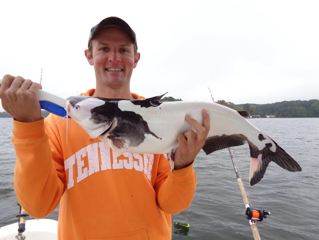 Positive Example of CPR - Kayak Catfish