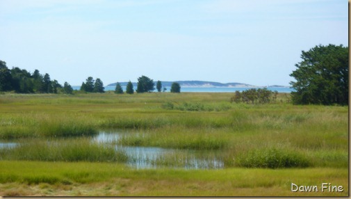 Wellfleet Audubon_004