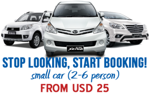 Bali Driver Service Professional 2017