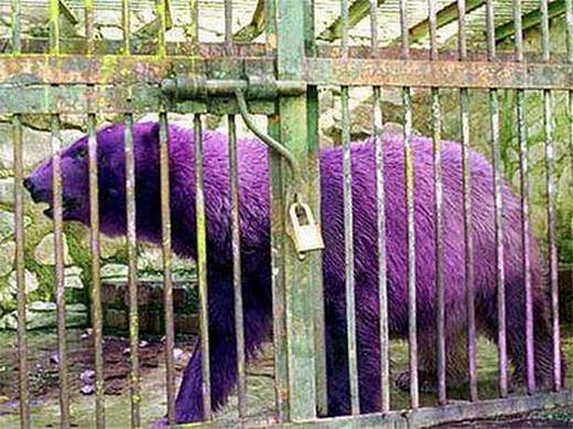 20+ Baru Warna Gorden Untuk Dinding Biru Langit