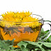 5 Reasons to drink dandelion tea