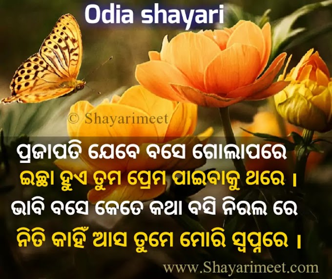 17+Odia shayari|Odia Love shayari,Sad, friendship,Romantic odia  shayari photo 