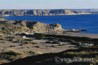 Puerto Pirámides Avistajes de ballenas