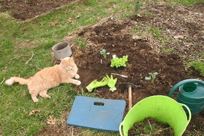 Wednesday Farm Photos: It's Spring!