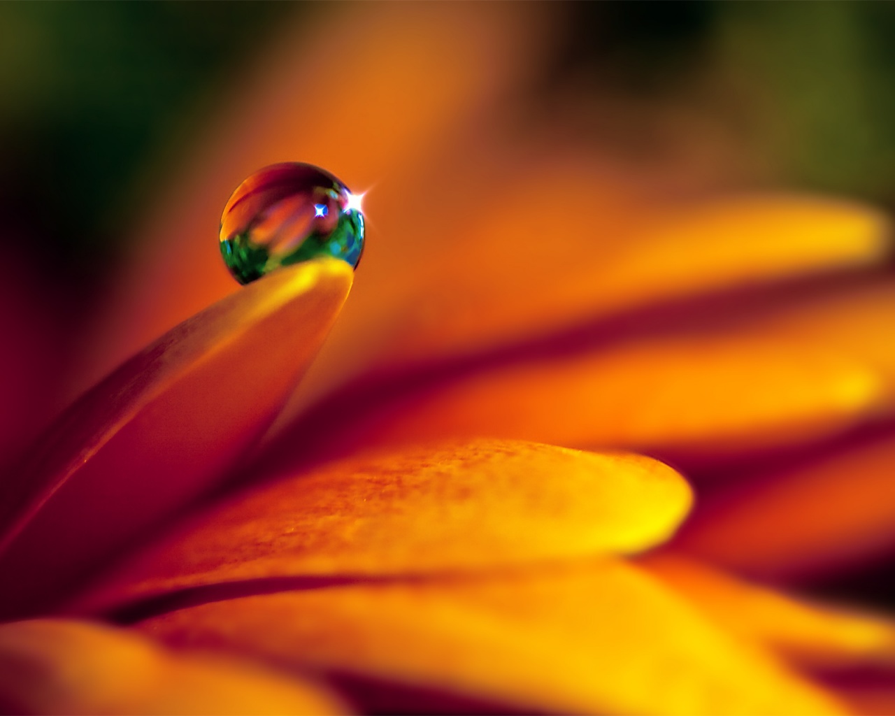 3d Water Drop HD Wallpaper Free