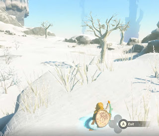 Link sticking out of the ground in a snow landscape