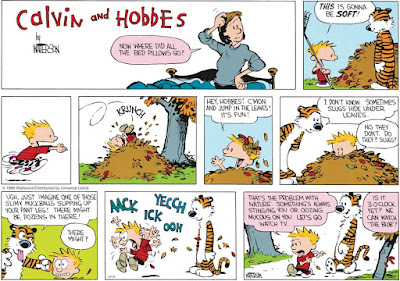 http://www.gocomics.com/calvinandhobbes/2016/10/16