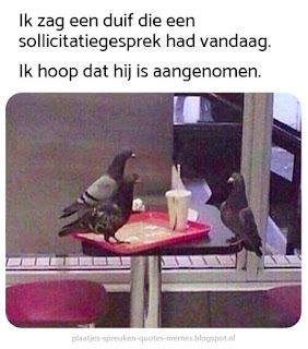 leuke memes