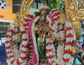 Sri Theliya Singar,Purattasi, third, sanivaram,Parthasarathy Perumal Temple,Purappadu,2016, Video, Divya Prabhandam,Sri Parthasarathy Perumal, Triplicane,Thiruvallikeni,Utsavam,