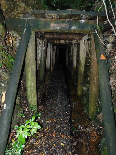 DSCN0105