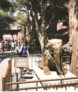 forbidden city 5