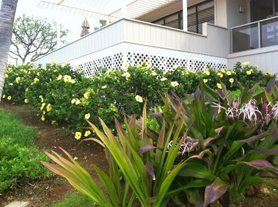 phone pictures 589