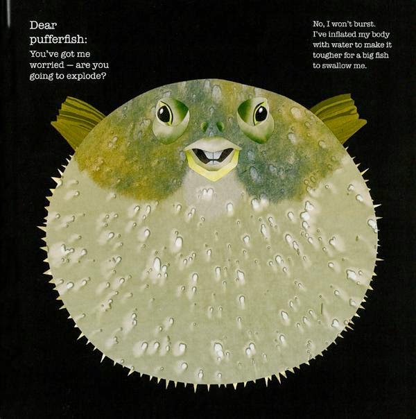 pufferfish illustration Steve Jenkins