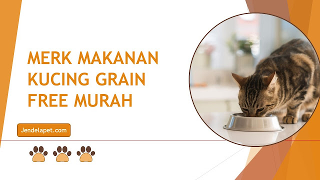 Merk Makanan Kucing Grain Free Murah
