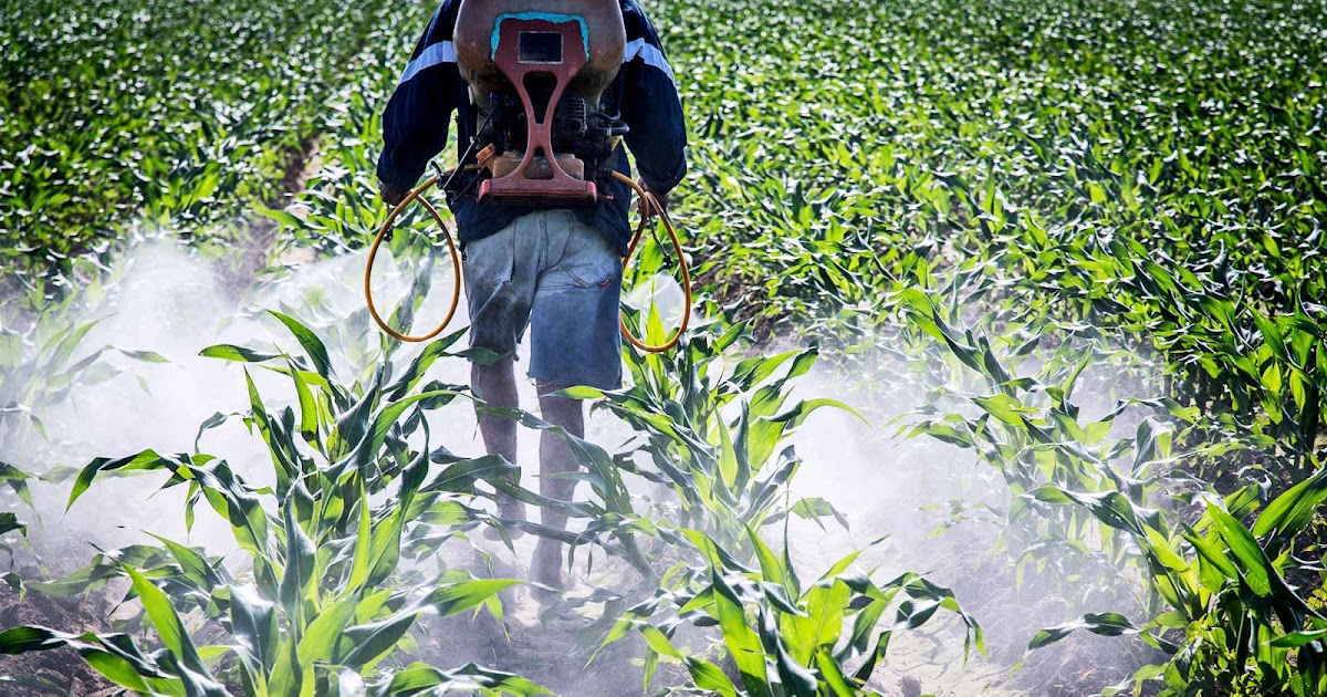 Agriculture Bactericides Market Size, Share, Outlook, and Opportunity Analysis, 2022-2028