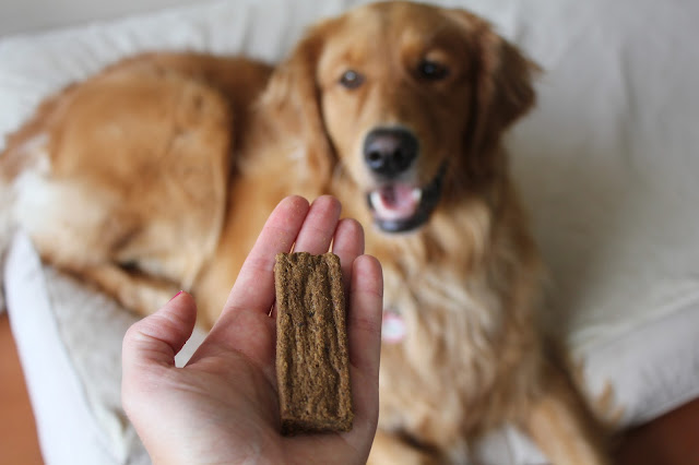 limited ingredient natural balance dog treats